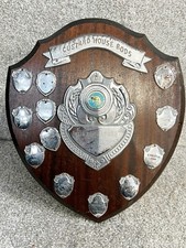 Vintage wooden shield for sale  PRESTON