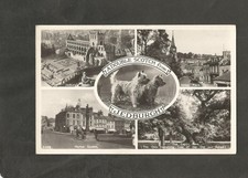 Postcard scotland jedburgh for sale Postcard scotland jedburgh for sale  CREDITON