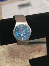 Skagen slim titanium for sale  Sanford