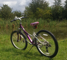 Mt220 trek bicycle for sale  WINCHESTER
