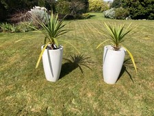tall planter plastic for sale tall planter plastic for sale SOLIHULL