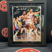 Magic johnson julius for sale  Lagrangeville