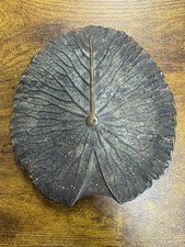 Brass lily pad for sale  Ishpeming
