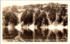 Rppc postcard south for sale  Oconto