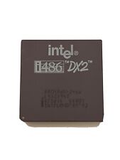 Vintage intel i486dx2 usato  Gioia del Colle