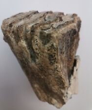 Mammut backenzahn endstück gebraucht kaufen  Sehnde
