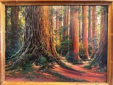 redwood tree redwood frame for sale redwood tree redwood frame for sale Boise