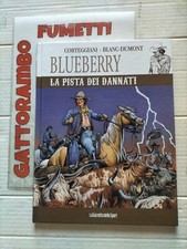 Blueberry n.43 pista usato  Papiano