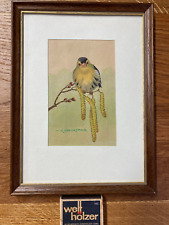 Riginal bild vogelbild gebraucht kaufen  Coburg