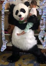 Panda bear fancy for sale  Claremont