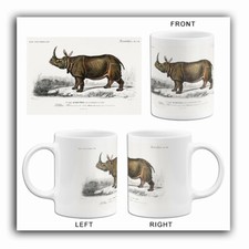 Indian rhinoceros 1849 for sale  USA