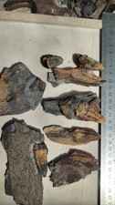 Trilobite ordovicien lot d'occasion  Châteaubriant
