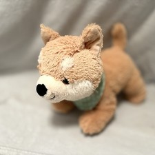 Cute shiba inu for sale  Midway Park