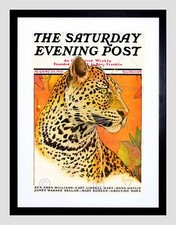Magazine cover leopard for sale  EDINBURGH