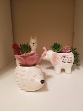 Animal succulent ceramic for sale  Broomfield