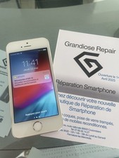 Apple iphone gris d'occasion  Lusignan
