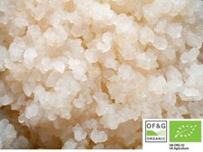 Usado, Grãos de água orgânicos vivos 30 g Tibicos veganos amigáveis por Kombuchaorganic comprar usado  Enviando para Brazil