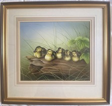 John morris gouache for sale  HARROGATE
