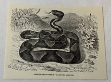 1885 book engraving for sale  Wilmington