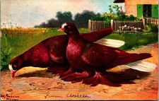 Antique postcard german for sale  Morrisville