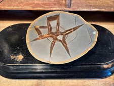 Septaria calcite lorraine d'occasion  Roussillon