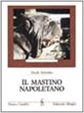 Mastino napoletano imbimbo usato  Vejano