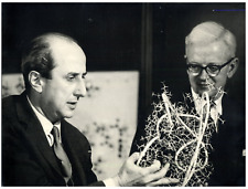 Scientist giulio macchi d'occasion  Pagny-sur-Moselle