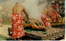 Hawaii luau pig for sale  Baton Rouge