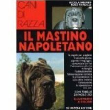 Mastino napoletano usato  Roma