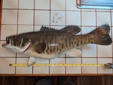 Smallmouth bass fish for sale  New Holland