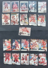 Nhl ice hockey for sale  DURHAM