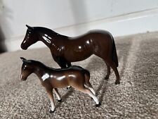 Horse mare foal for sale  DRIFFIELD
