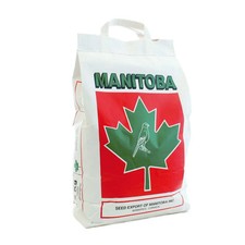 Manitoba canarini platino usato  Marano di Napoli