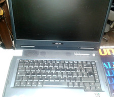 Computer portatile asus usato  Viareggio