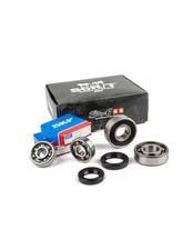 Set cuscinetti paraoli usato  Clusone