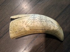 Faux scrimshaw whaling for sale  Montgomery