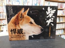 Shiba inu japanese d'occasion  Expédié en Belgium