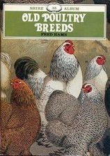 Old poultry breeds for sale  UK
