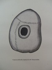 1882 cranial amulets d'occasion  Expédié en Belgium
