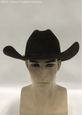 stetson hat cowboy stallion for sale  Saint Louis