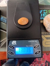 13.03ct natural conch for sale  Watertown