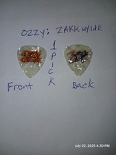 Zakk wylde guitar for sale  Greenville
