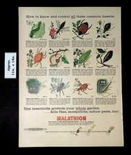 1957 one insecticide for sale  Stockton