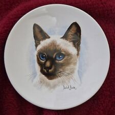 Deriek bown siamese for sale  EASTBOURNE