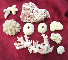 Collection old sea for sale  BALDOCK