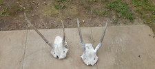 Job lot pairs for sale  CAMBORNE