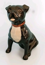 Staffordshire bull terrier for sale  NANTWICH