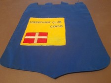 Gagliardetto pennant vintage usato  Genova
