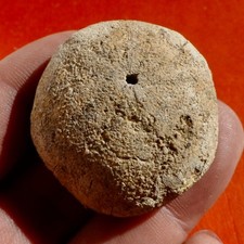 Oursin fossile miocène d'occasion  Cuxac-d'Aude