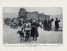 Belgian army transport for sale  COLEFORD